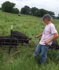 Cliff McConville of All Grass Farm checks his Berkshire hogs. All Grass Farm is a hub in the Fresh Picks Farmer Alliance.